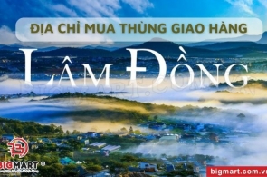 Thùng Giao Hàng Lâm Đồng Mua Ở Đâu Uy Tín, Giá Tốt?