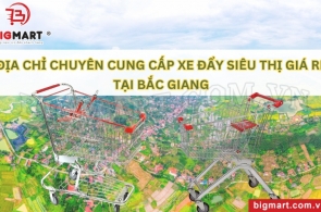 ĐỊA CHỈ CHUYÊN CUNG CẤP XE ĐẨY SIÊU THỊ GIÁ RẺ TẠI BẮC GIANG