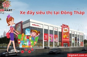 Mẫu Xe Đẩy Siêu Thị Tại Đồng Tháp Phổ Biến Nhất Hiện Nay