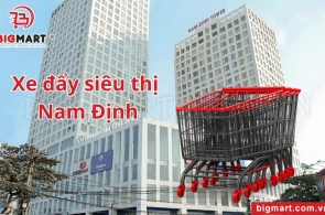 TOP 5 mẫu xe đẩy siêu thị tại Nam Định nên mua nhất