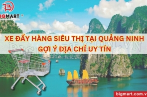 XE ĐẨY HÀNG SIÊU THỊ TẠI QUẢNG NINH: GỢI Ý ĐỊA CHỈ UY TÍN