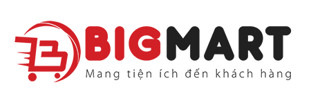 logo thương hiệu BIGMART